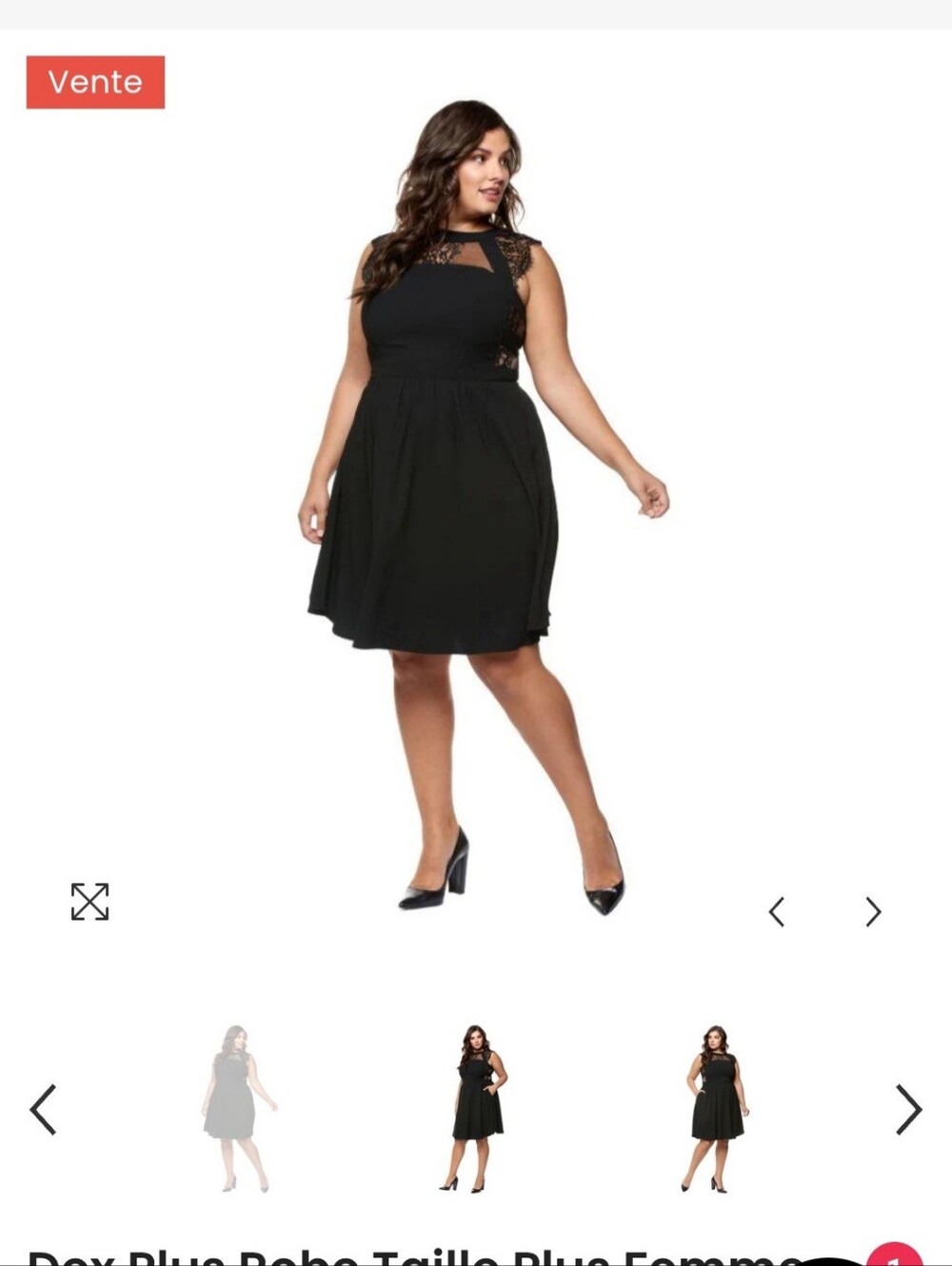 Dex Black Lace Fit & Flare Dress with Pockets